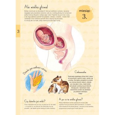 9 miesięcy – środek, 3. miesiąc